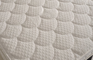 New Deluxe Tek Kişilik Yatak Baza Başlık Seti