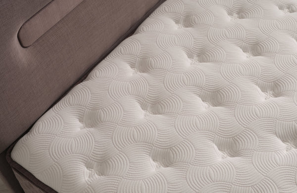 Elera Tek Kişilik Yatak Baza Başlık Seti