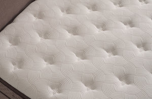 Elera Tek Kişilik Yatak Baza Başlık Seti