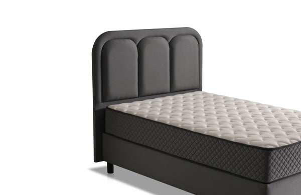 Serena Bio Tek Kişilik Baza