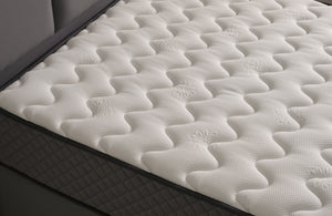 Serena Bio Tek Kişilik Yatak Baza Başlık Seti